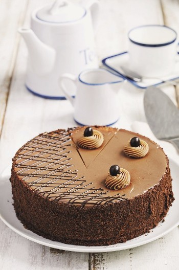 BOEM TORTA Raskošna poslastica prepuna oraha i čokolade, klasik koji nikad ne izlazi iz mode