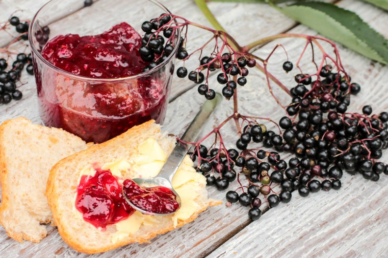 DOMAĆI DŽEM OD ZOVE Biće isti kao onaj bakin, a po ukusu mu nema sličnog
